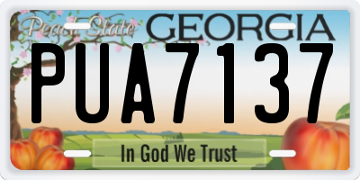 GA license plate PUA7137