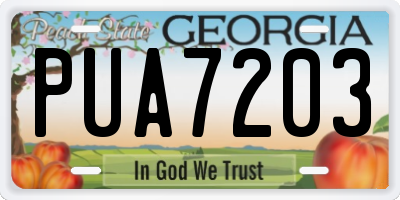 GA license plate PUA7203