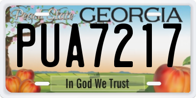 GA license plate PUA7217