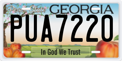 GA license plate PUA7220