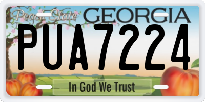 GA license plate PUA7224