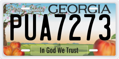 GA license plate PUA7273