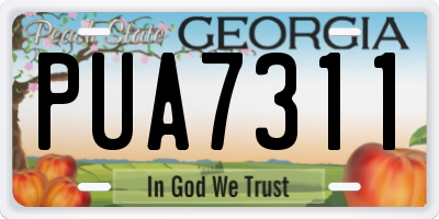 GA license plate PUA7311