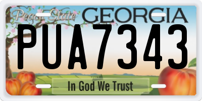 GA license plate PUA7343