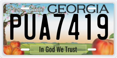 GA license plate PUA7419
