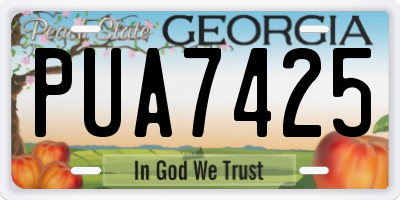 GA license plate PUA7425