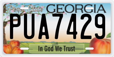 GA license plate PUA7429