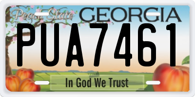 GA license plate PUA7461