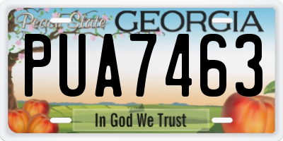 GA license plate PUA7463