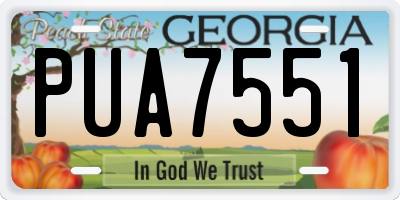 GA license plate PUA7551