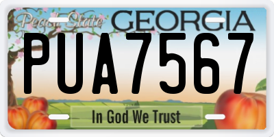 GA license plate PUA7567