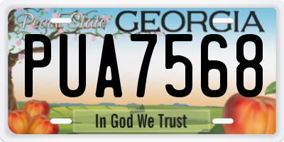 GA license plate PUA7568