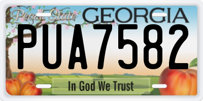 GA license plate PUA7582