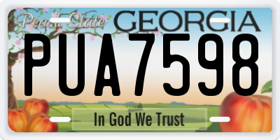 GA license plate PUA7598