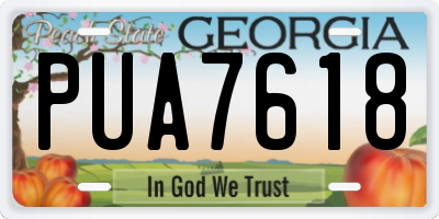 GA license plate PUA7618
