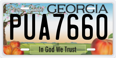 GA license plate PUA7660