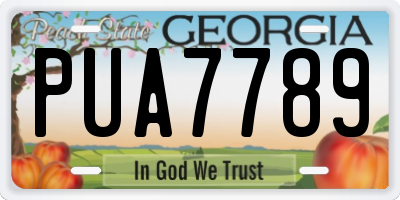 GA license plate PUA7789