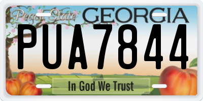 GA license plate PUA7844