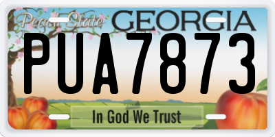GA license plate PUA7873