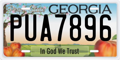 GA license plate PUA7896