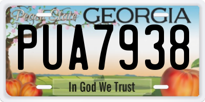 GA license plate PUA7938