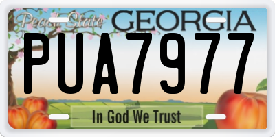 GA license plate PUA7977