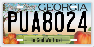 GA license plate PUA8024