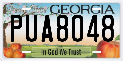 GA license plate PUA8048