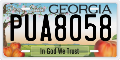 GA license plate PUA8058