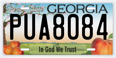 GA license plate PUA8084