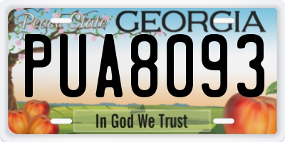 GA license plate PUA8093