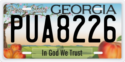 GA license plate PUA8226