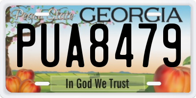 GA license plate PUA8479
