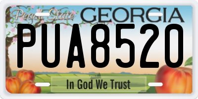 GA license plate PUA8520