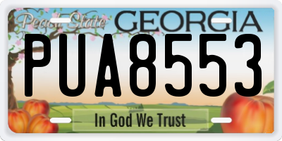 GA license plate PUA8553