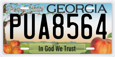 GA license plate PUA8564