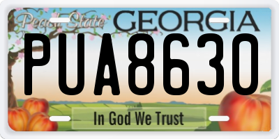 GA license plate PUA8630