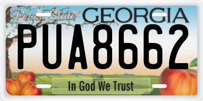 GA license plate PUA8662