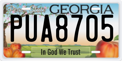 GA license plate PUA8705