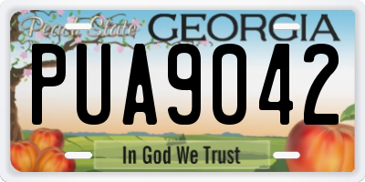 GA license plate PUA9042