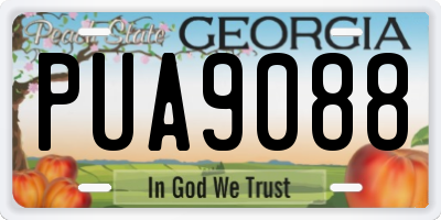 GA license plate PUA9088
