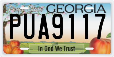 GA license plate PUA9117