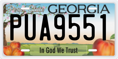 GA license plate PUA9551