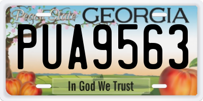 GA license plate PUA9563