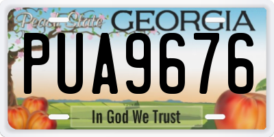 GA license plate PUA9676