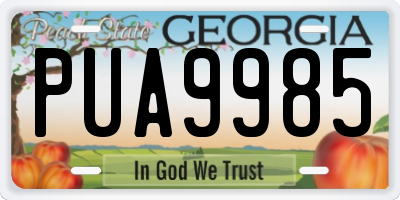 GA license plate PUA9985