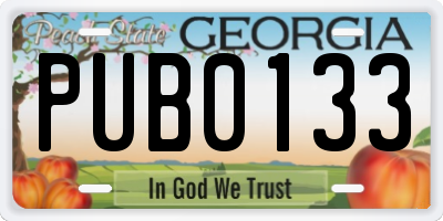 GA license plate PUB0133