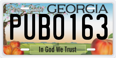 GA license plate PUB0163