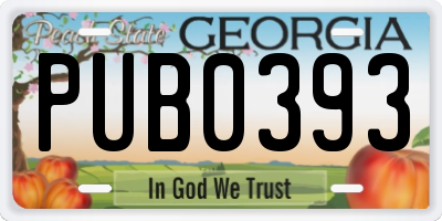GA license plate PUB0393
