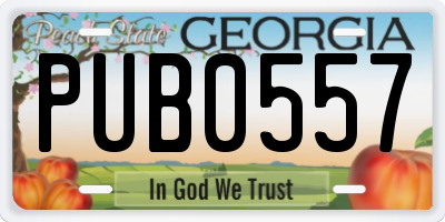GA license plate PUB0557